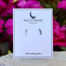 Load image into Gallery viewer, Tiny Trail of Stars Earrings