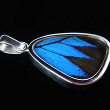 Load image into Gallery viewer, Blue & Black Butterfly Pendant, Small