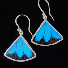 Load image into Gallery viewer, Blue & Black Butterfly Fan Earrings
