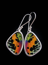 Load image into Gallery viewer, Shimmerwings "Sunset" Butterfly Small Earrings