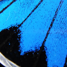 Load image into Gallery viewer, Blue & Black Butterfly Fan Pendant