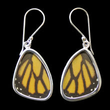 Load image into Gallery viewer, Monarch Butterfly Shimmerwing Earrings, Medium