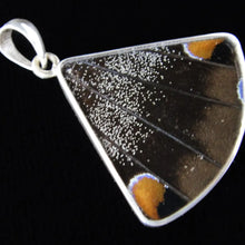 Load image into Gallery viewer, Blue & Black Butterfly Fan Pendant