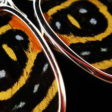 Load image into Gallery viewer, Shimmerwings "Speckled Numberwing" Butterfly Small Earrings