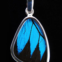 Load image into Gallery viewer, Blue & Black Butterfly Pendant, Small