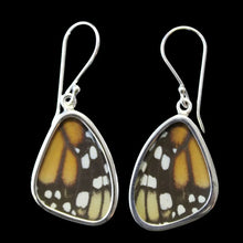Load image into Gallery viewer, Monarch Butterfly Shimmerwing Earrings, Medium