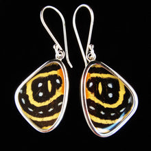 Load image into Gallery viewer, Shimmerwings "Speckled Numberwing" Butterfly Small Earrings