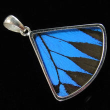 Load image into Gallery viewer, Blue & Black Butterfly Fan Pendant