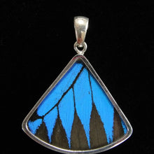 Load image into Gallery viewer, Blue & Black Butterfly Fan Pendant