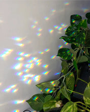 Load image into Gallery viewer, Planty Suncatcher Stick - Luna