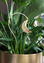 Load image into Gallery viewer, Planty Suncatcher Stick - Luna