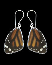 Load image into Gallery viewer, Medium Monarch Butterfly Shimmerwing Earrings
