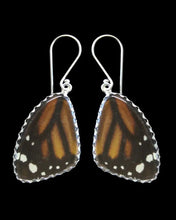 Load image into Gallery viewer, Medium Monarch Butterfly Shimmerwing Earrings