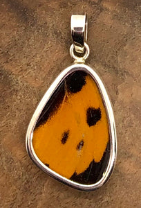 Small Butterfly Shimmerwing Pendant