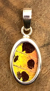 Extra-Small Hot Sunset Butterfly Shimmerwing Pendant