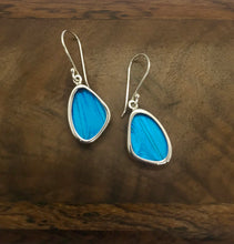 Load image into Gallery viewer, Extra-Small Blue Butterfly Shimmerwing Earrings