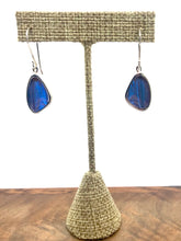 Load image into Gallery viewer, Extra-Small Blue Butterfly Shimmerwing Earrings