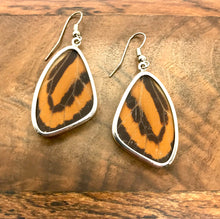 Load image into Gallery viewer, Orange & Black Butterfly Shimmerwing Earrings