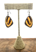 Load image into Gallery viewer, Orange & Black Butterfly Shimmerwing Earrings