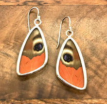 Load image into Gallery viewer, Medium Butterfly Shimmerwing Earrings