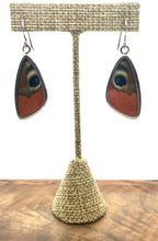 Load image into Gallery viewer, Medium Butterfly Shimmerwing Earrings