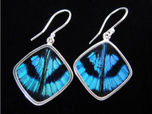 Load image into Gallery viewer, Blue Flash Diamond Shimmerwing Earrings