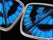 Load image into Gallery viewer, Blue Flash Diamond Shimmerwing Earrings