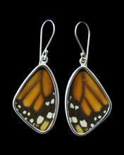 Load image into Gallery viewer, Medium Monarch Butterfly Shimmerwing Earrings
