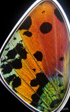Load image into Gallery viewer, Medium Sunset Butterfly Shimmerwing Pendant