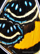 Load image into Gallery viewer, Large Speckled Numberwing Butterfly Shimmerwing Pendant