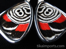 Load image into Gallery viewer, Small 88 Butterfly Shimmerwing Earrings