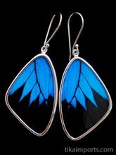 Load image into Gallery viewer, Large Blue & Black Butterfly Shimmerwing Earrings
