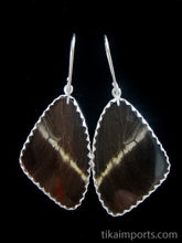 Load image into Gallery viewer, Large Blue & Black Butterfly Shimmerwing Earrings