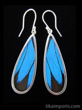 Load image into Gallery viewer, Long Drop Blue & Black Butterfly Shimmerwing Earrings