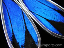 Load image into Gallery viewer, Long Drop Blue & Black Butterfly Shimmerwing Earrings