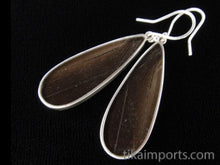 Load image into Gallery viewer, Long Drop Blue &amp; Black Butterfly Shimmerwing Earrings
