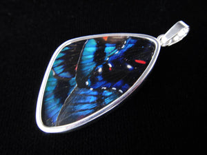 Large Blue Flash Butterfly Pendant