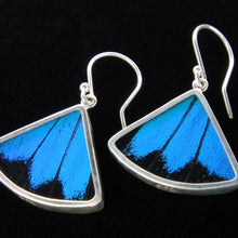 Load image into Gallery viewer, Blue &amp; Black Butterfly Fan Earrings
