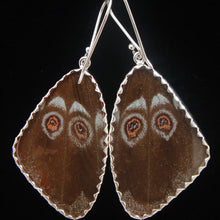 Load image into Gallery viewer, Shimmerwings "Blue Morpho" Butterfly Large Earrings
