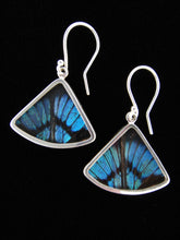 Load image into Gallery viewer, Shimmerwings "Blue Flash" Butterfly Fan Earring
