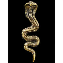 Load image into Gallery viewer, Brass Deity Snake Pendant
