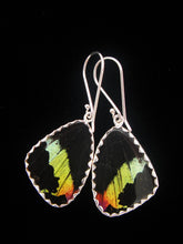 Load image into Gallery viewer, Shimmerwings "Sunset" Butterfly Small Earrings
