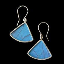 Load image into Gallery viewer, Shimmerwings "Blue Morpho" Butterfly Fan Earrings
