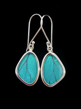 Load image into Gallery viewer, Shimmerwings "Blue Wing"Tiny Earrings
