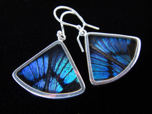 Load image into Gallery viewer, Shimmerwings "Blue Flash" Butterfly Fan Earring
