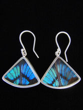Load image into Gallery viewer, Shimmerwings "Blue Flash" Butterfly Fan Earring
