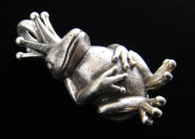 Load image into Gallery viewer, Brass Deity Pendant- King Froggie
