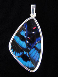 Large Blue Flash Butterfly Pendant