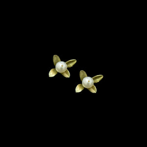 Boxwood Post Earrings
