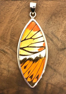 Marquis Butterfly Shimmerwing Pendant